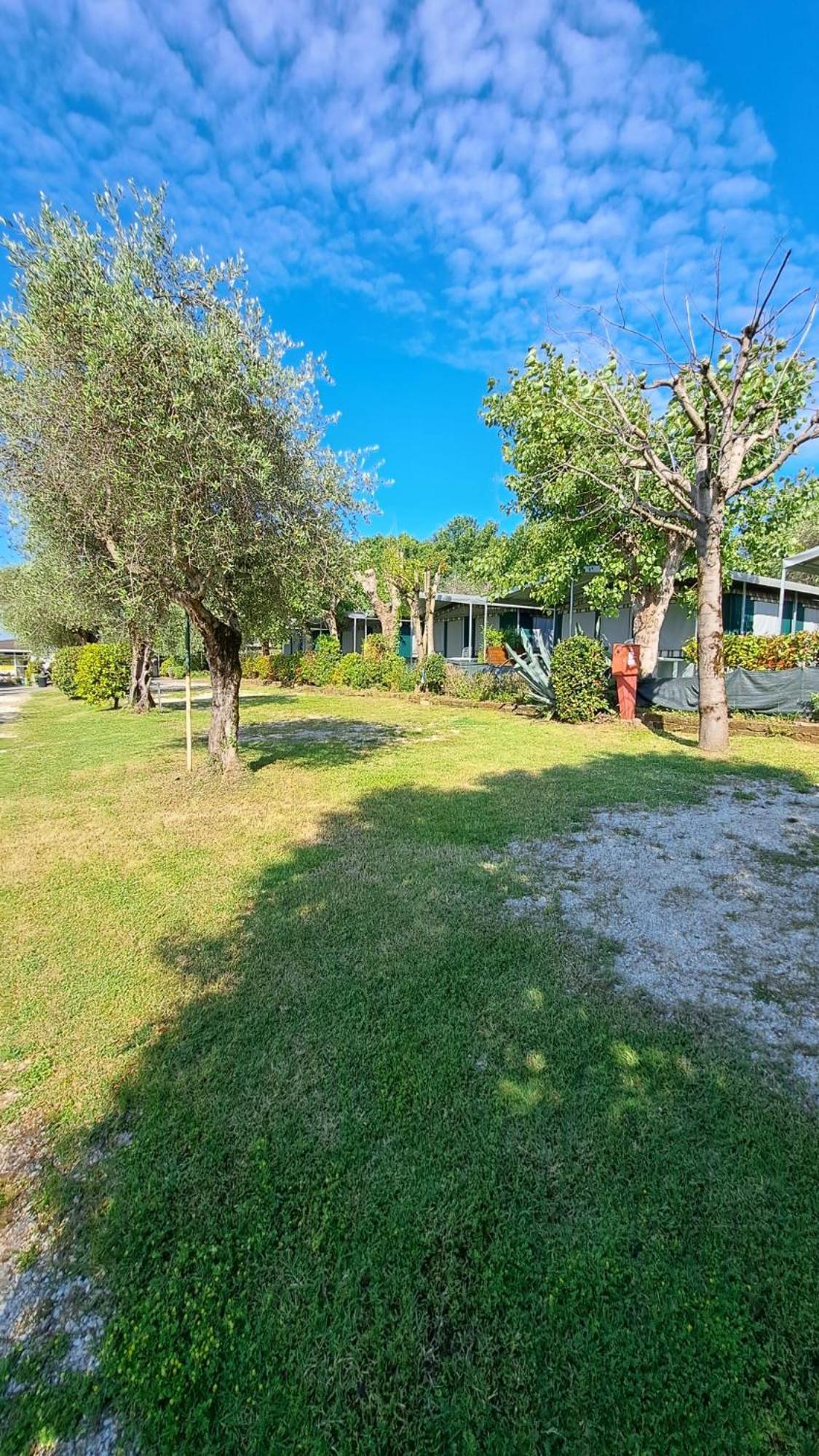 Camping Porto Srl Otel Moniga del Garda Dış mekan fotoğraf